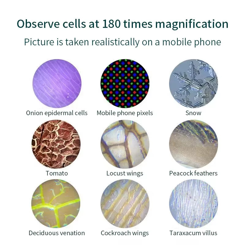 Kid Science Experiment Pocket Microscope Toy Kit 60-120X Educational Mini Handheld Microscope with Light Children Toys Gift