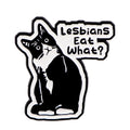 LGBT Humor Quote Pride Enamel Pins Women'S Brooches Men Lapel Pins Black Cat Badge Costume Accessories Funny Jewelry Gifts